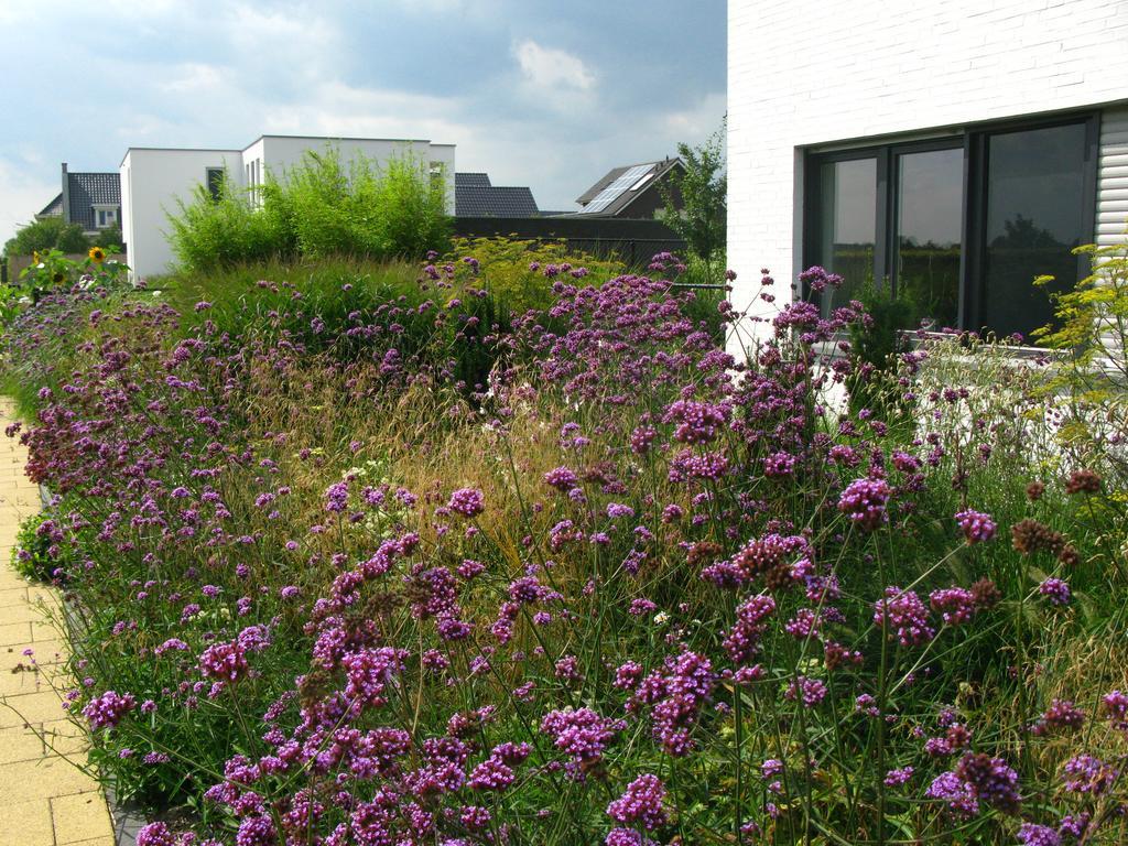 B&B De Beverhoek Roggel Exteriér fotografie